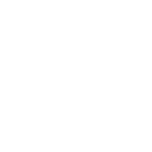 wordpress (1)